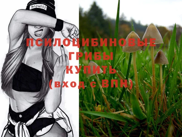 круглые Алексеевка