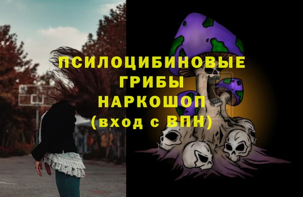 круглые Алексеевка