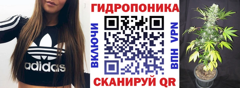 дарнет шоп  Алупка  Бошки марихуана VHQ 
